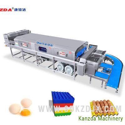 Egg tray washer